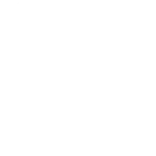 icon-0