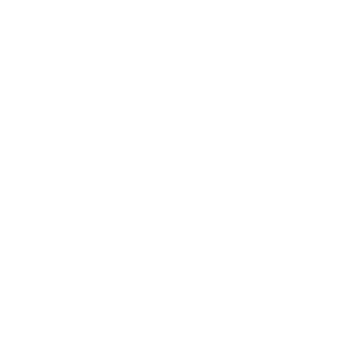 icon-1